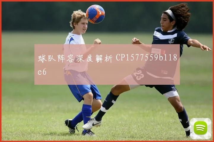 球队阵容深度解析 CP1577559b118e6
